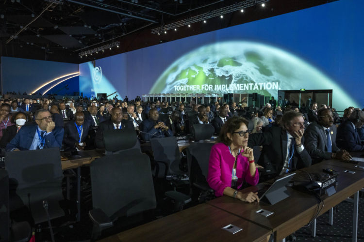 APTOPIX COP27 Climate Summit