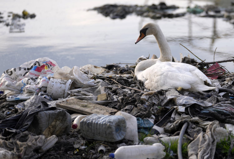 Plastic Pollution Treaty