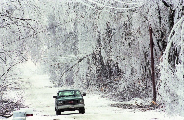 A state game warden drives through the ice-covered trees along Files Road in Thorndike on Jan. 11, 1998, in the aftermath of the ice storm. 