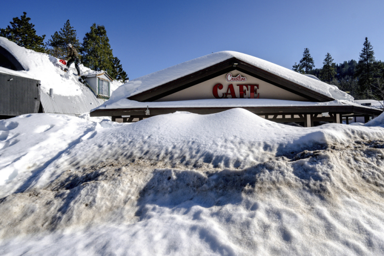 California Snow The Stranded