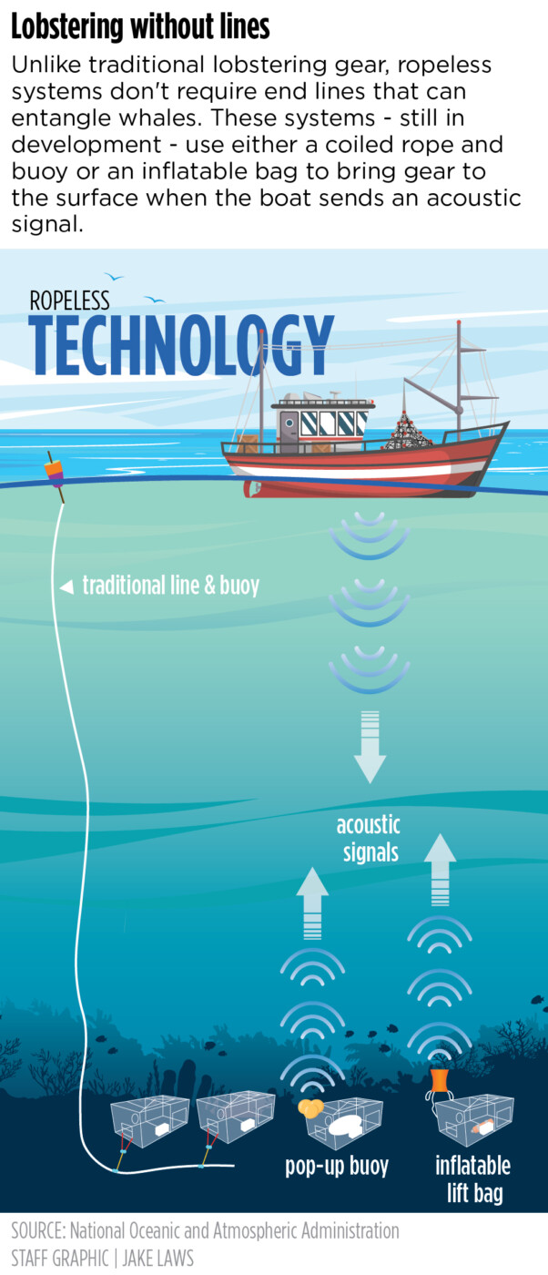 Hope vs. rope: Can technology save the whales, and Maine's lobster