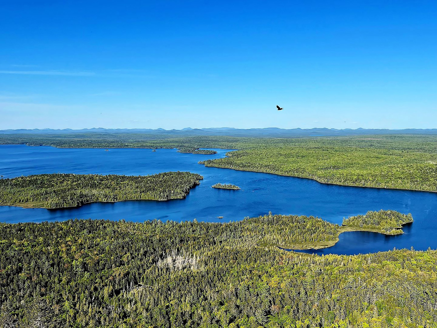 Hiking In Maine Exploring The Remote Pristine Allagash Wilderness   1022072655 Kish15 1 