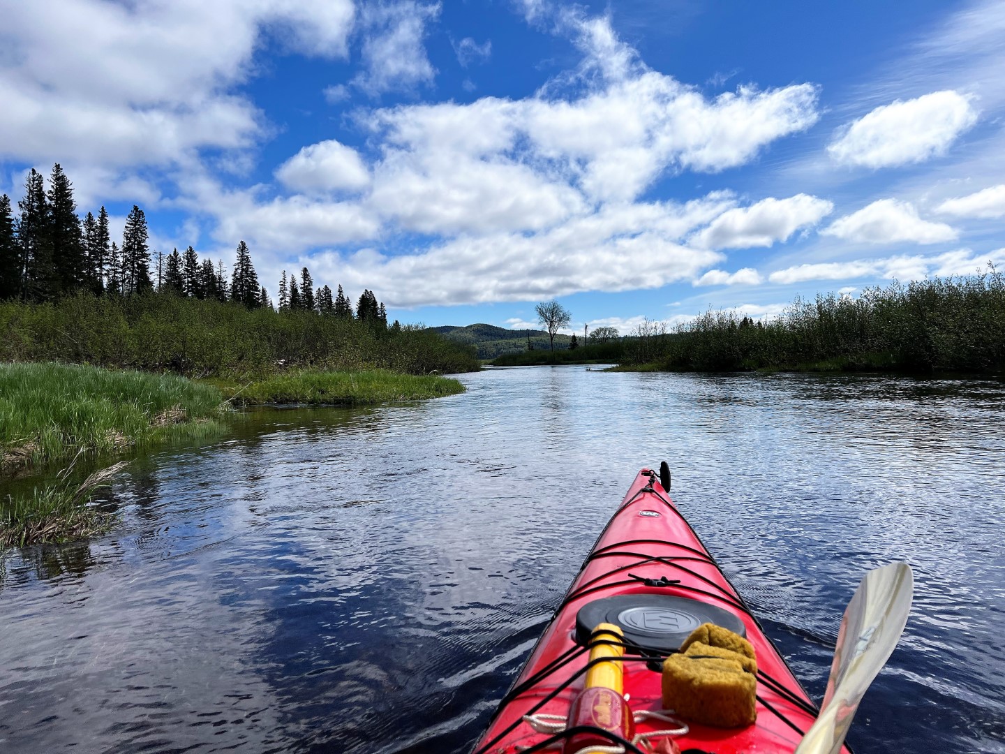 Hiking In Maine Exploring The Remote Pristine Allagash Wilderness   AWW 1 