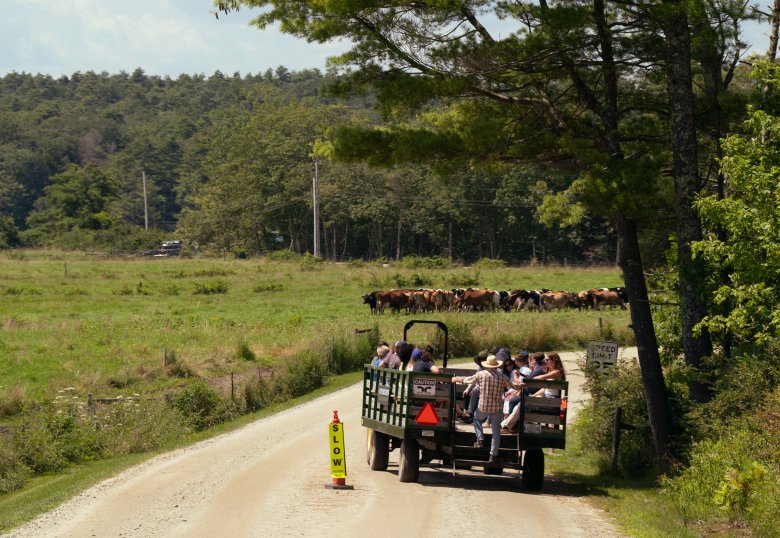 Puppets, music and oysters tell tales of climate change at Wolf’s Neck Center