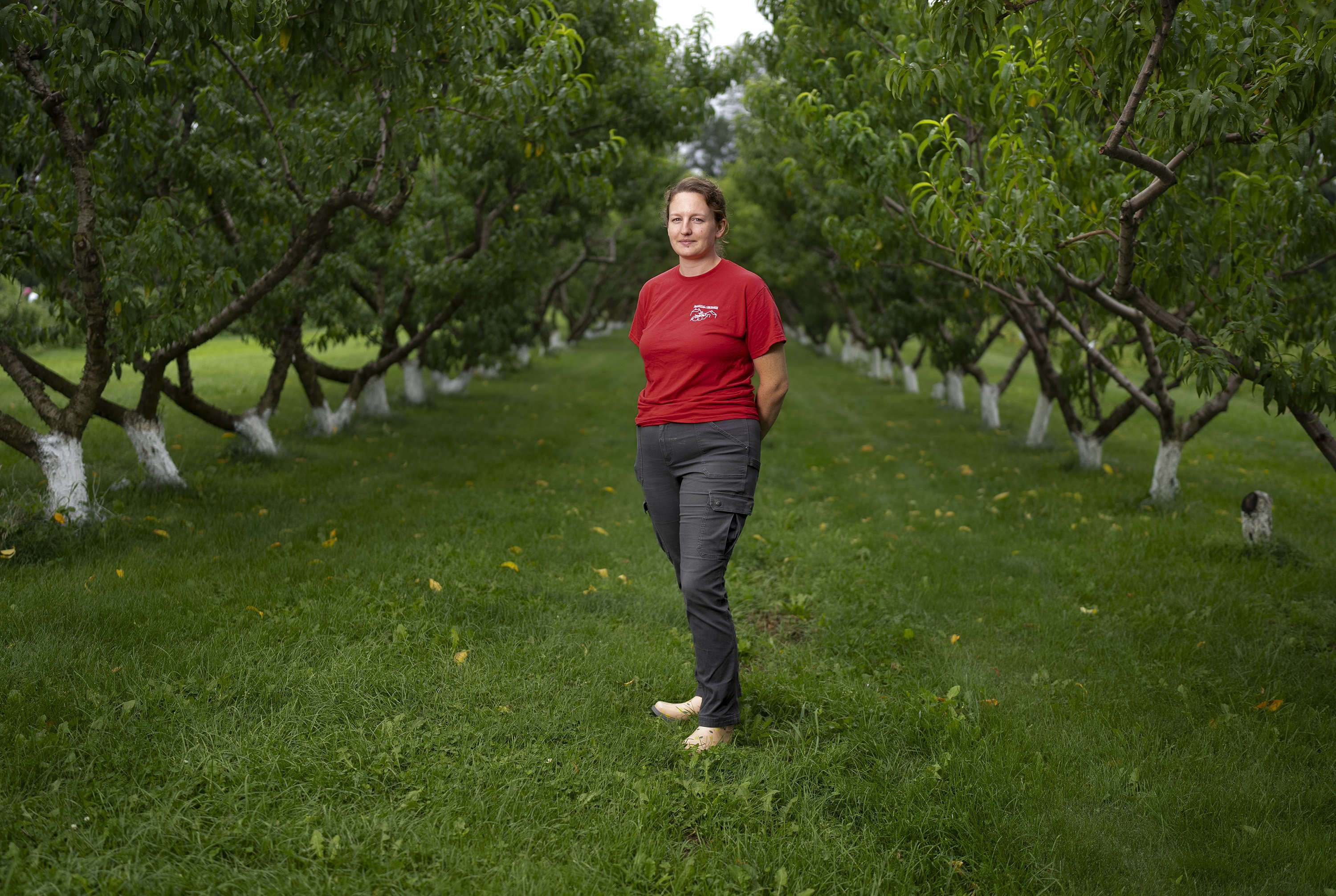 Peaches  Agricultural Marketing Resource Center