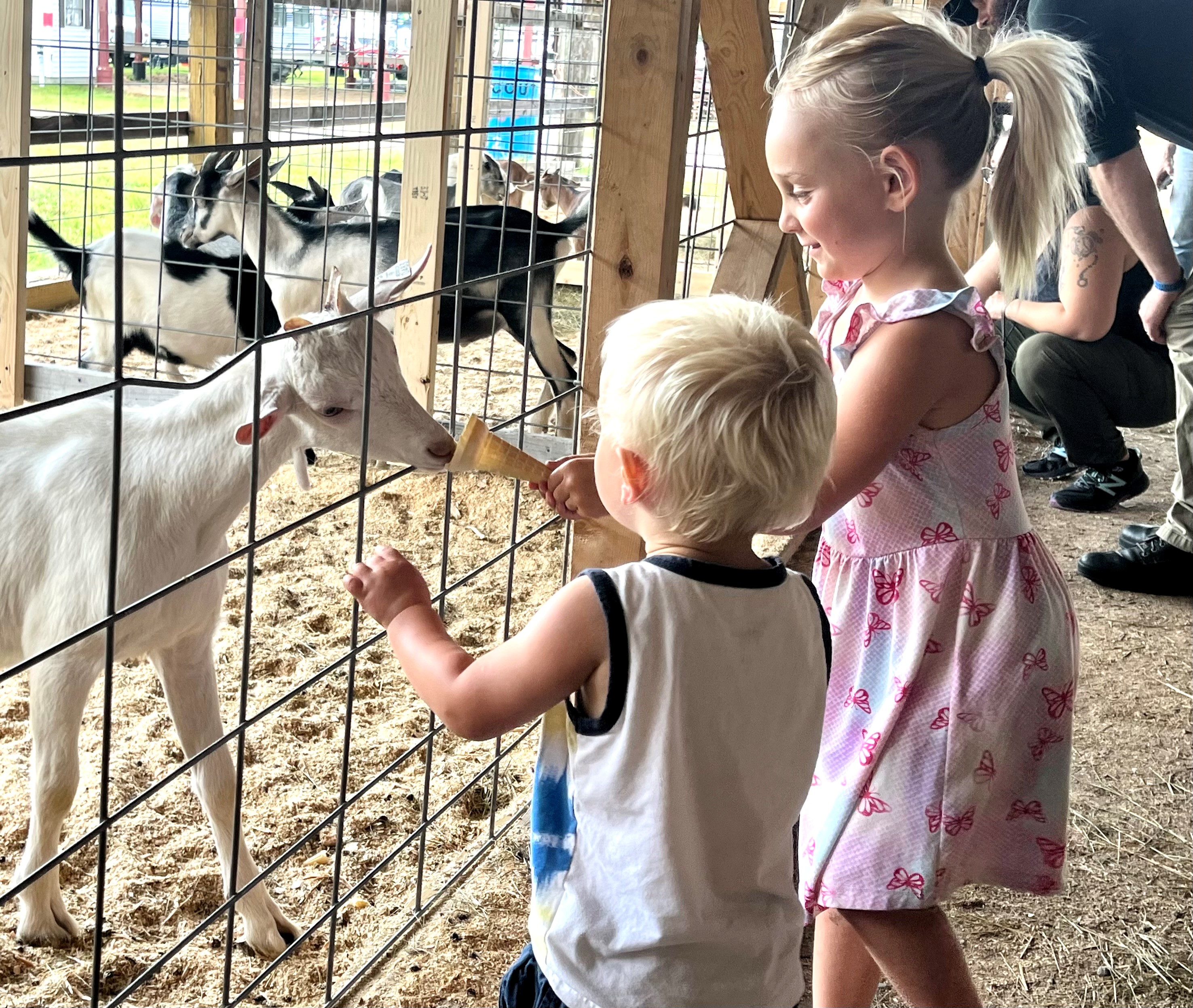 Photos: Fair weather for the Topsham Fair - Vimarsana News