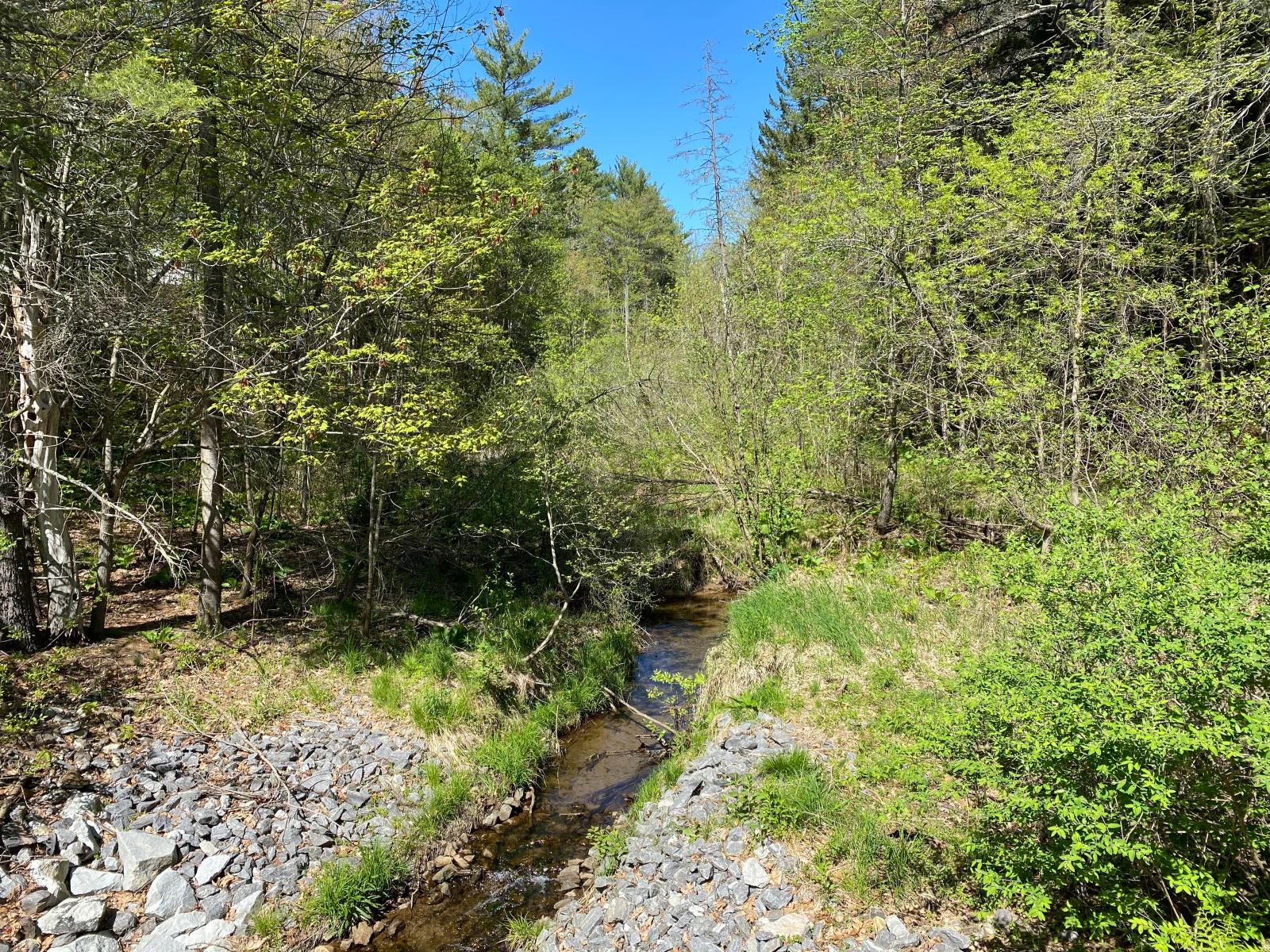 Town continues combating pollution of Topsham Fair Mall Stream - Vimarsana News