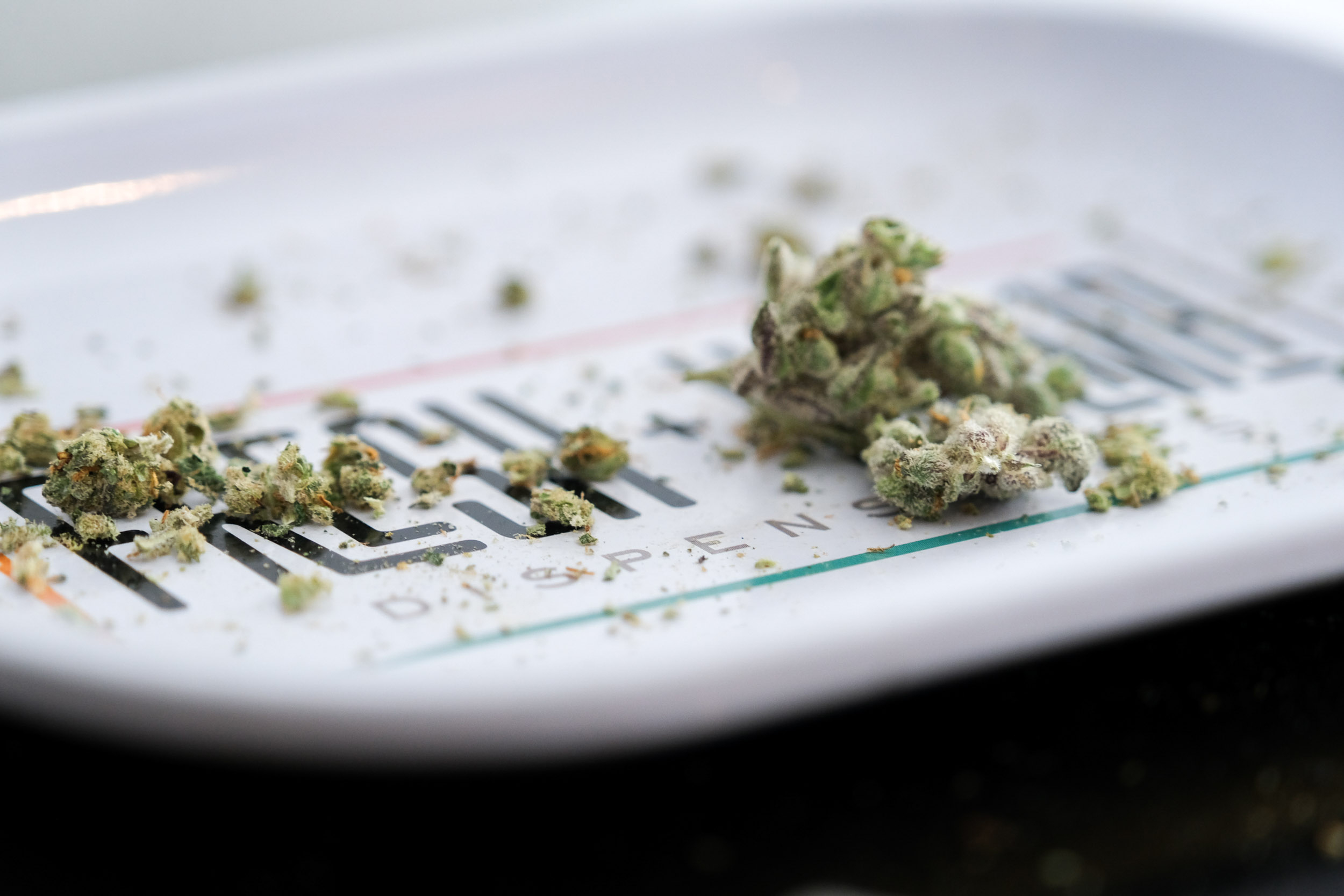 Marijuana addiction is real. Those struggling often face skepticism. - Vimarsana News