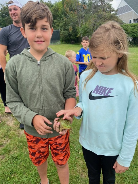 Frog Jumping Contest Takes Off - Vimarsana News