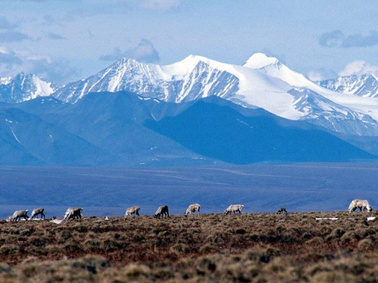 Alaska-Arctic Refuge