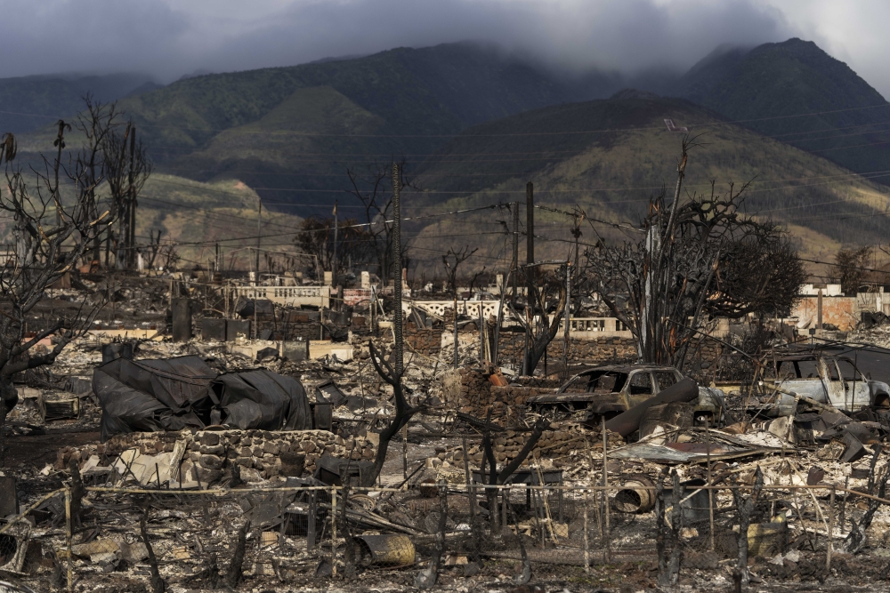 Hawaii Wildfire Congressional Hearing