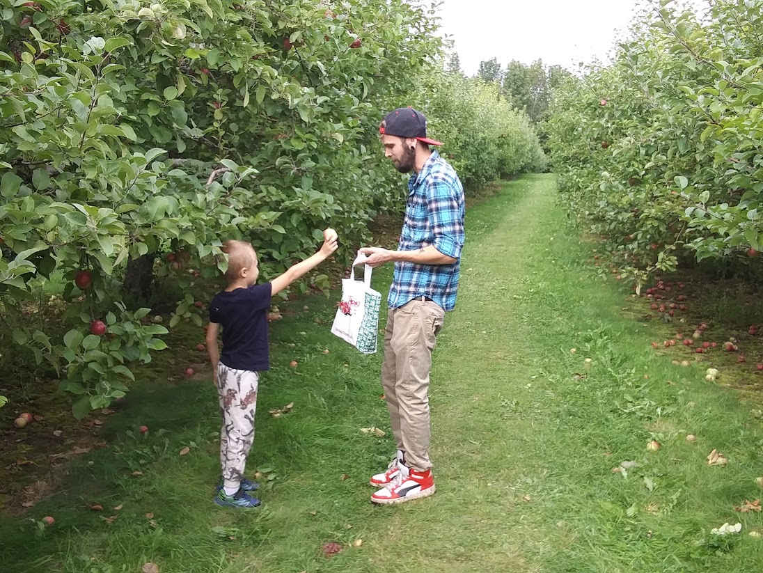 Backyard Naturalist: After apple picking