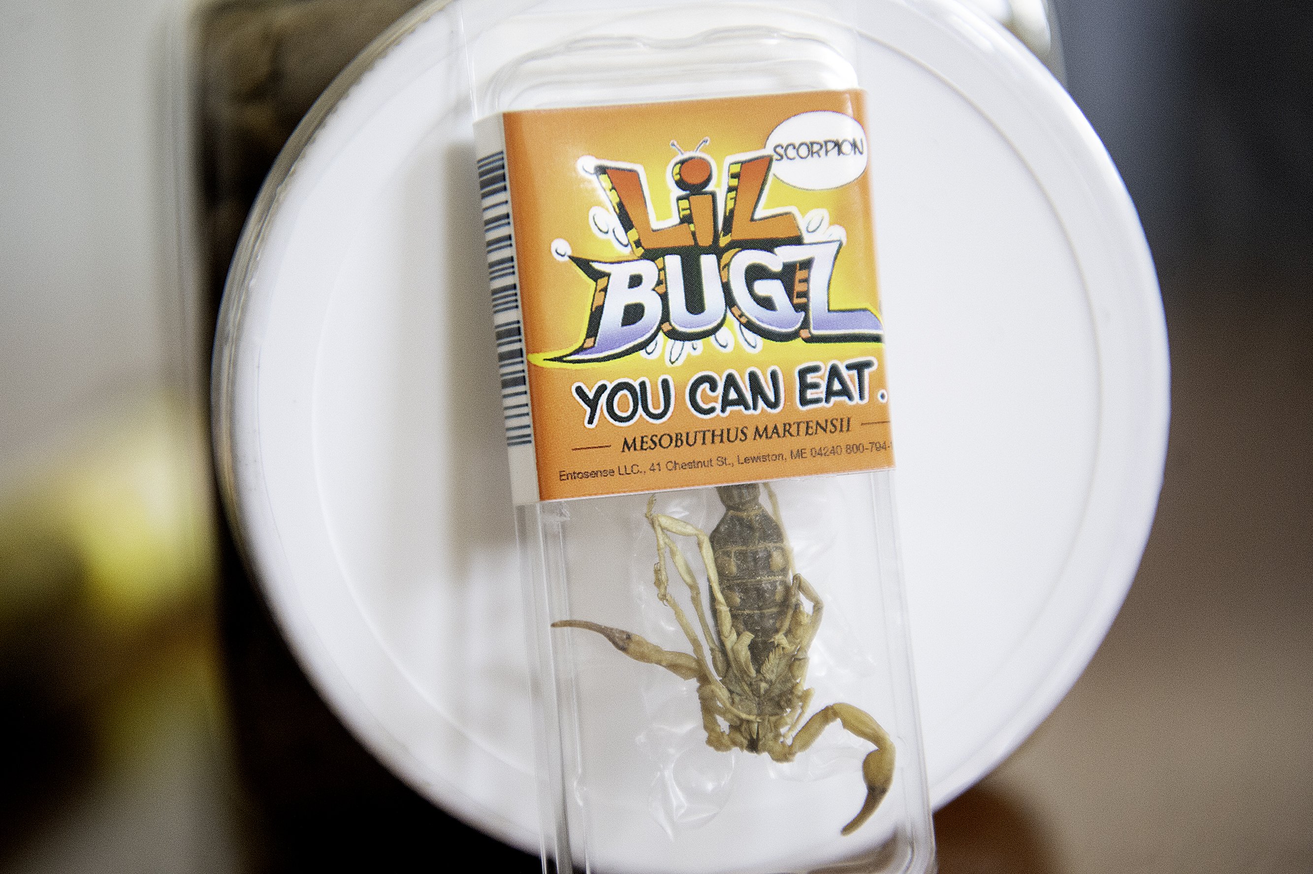 Bugs: It's what's for dinner - Vimarsana News