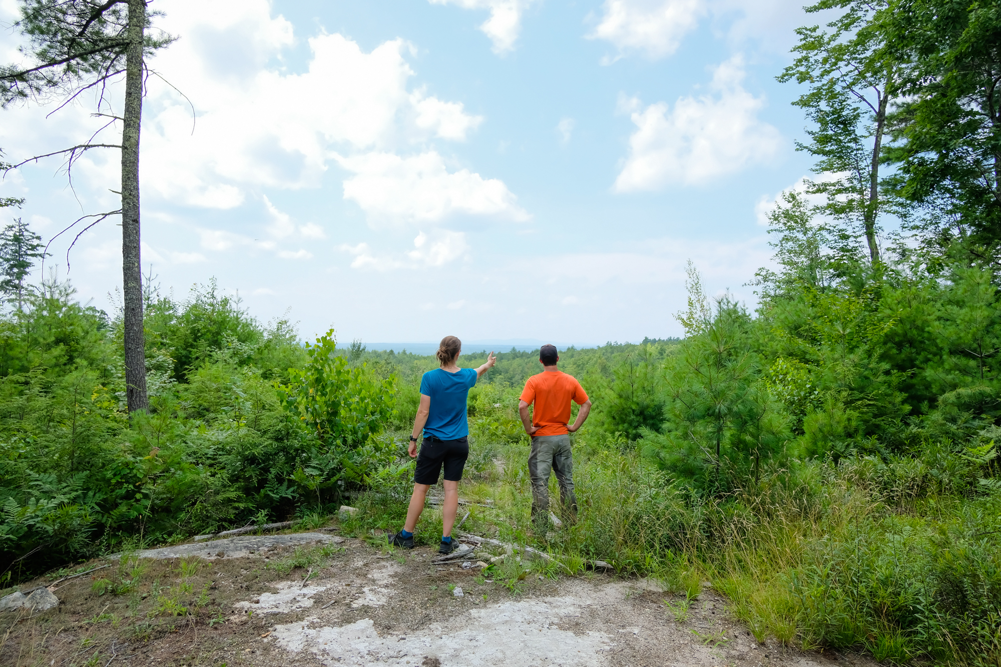Newly conserved land in Windham results in largest protected wooded area in southern Maine - Vimarsana News