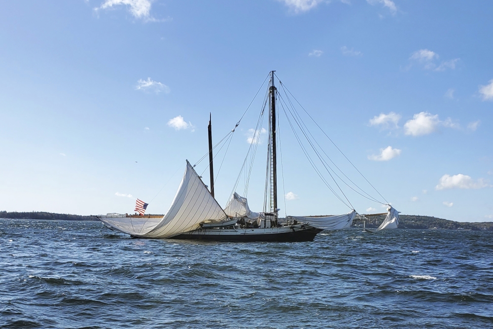 Coast Guard opens inquiry into collapse of mast on Maine schooner that killed a passenger - Vimarsana News
