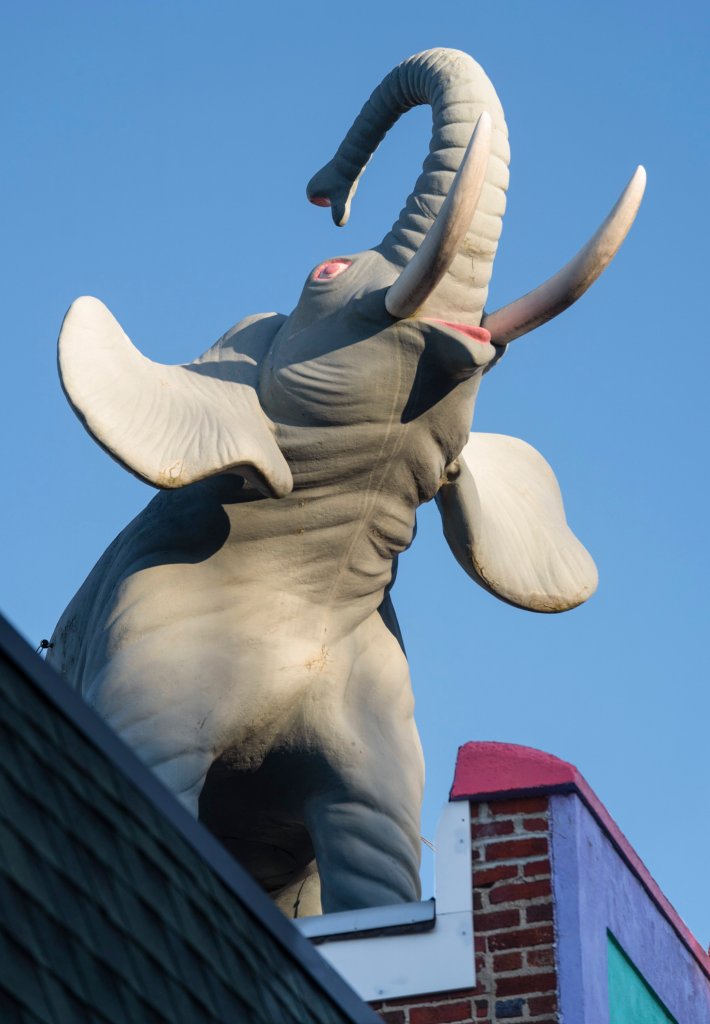 Hawthorne the elephant looks triumphant sitting atop the Colonial Theater.