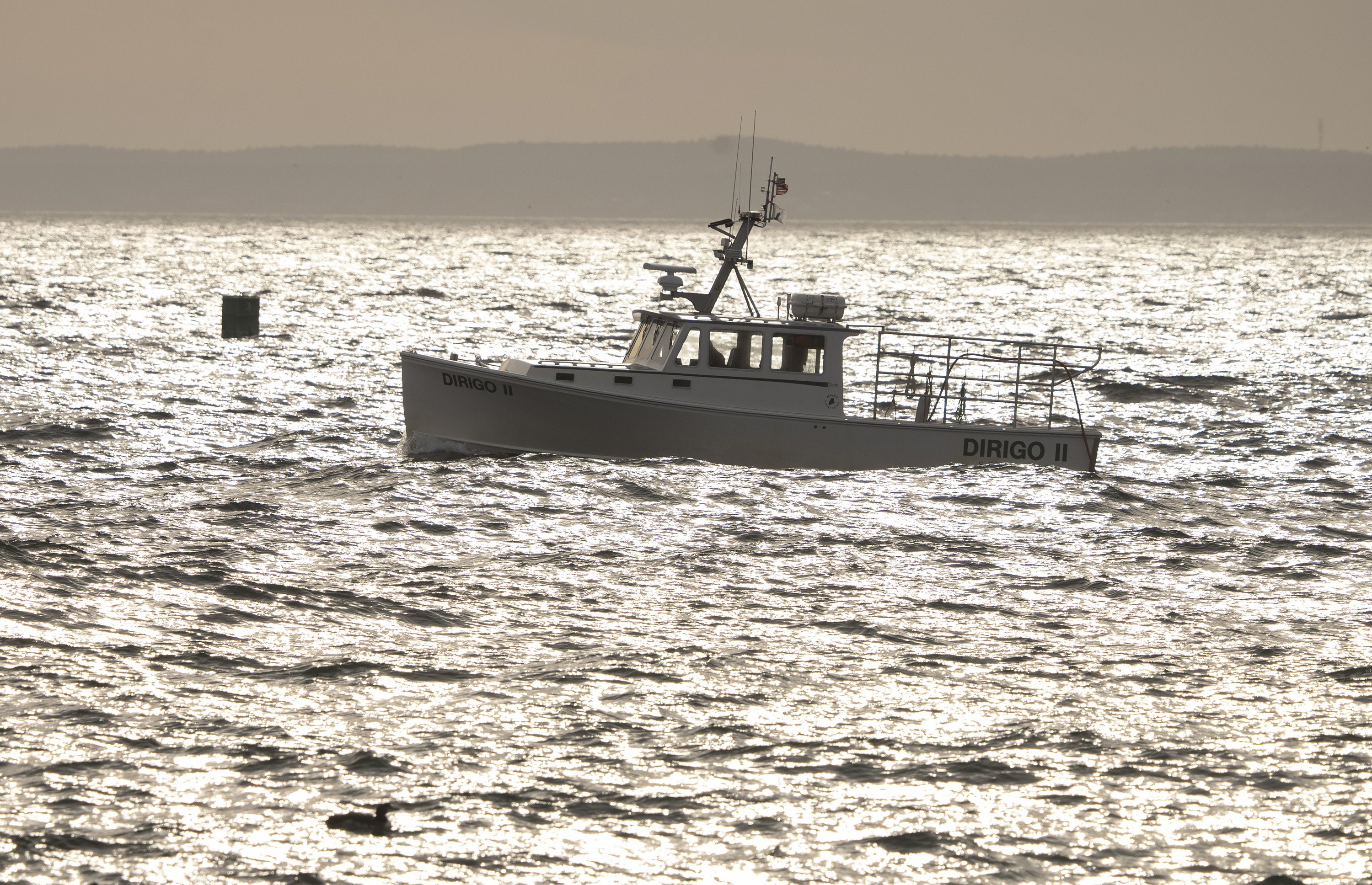 Maine lobster industry's defamation lawsuit still pending even as similar case in Massachusetts is dismissed - Vimarsana News