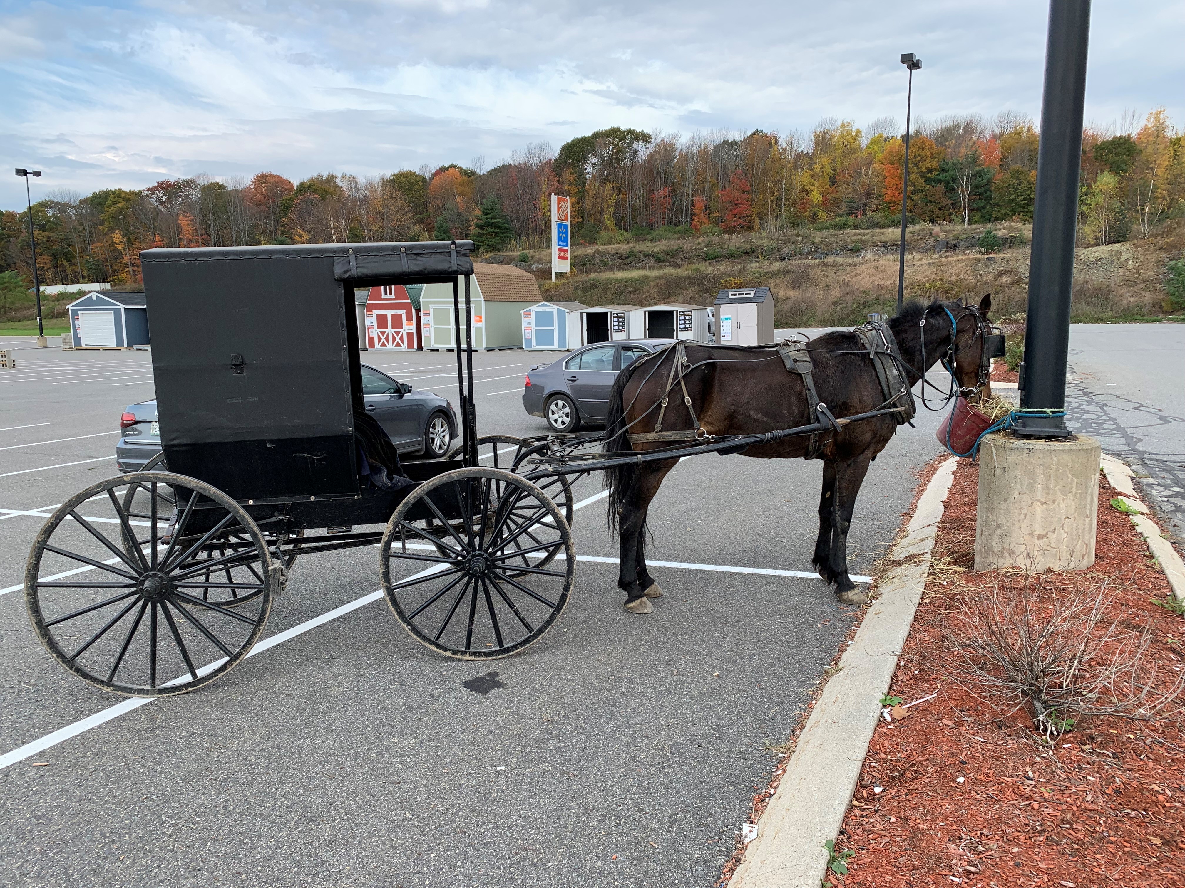 Amish field hi-res stock photography and images - Page 11 - Alamy