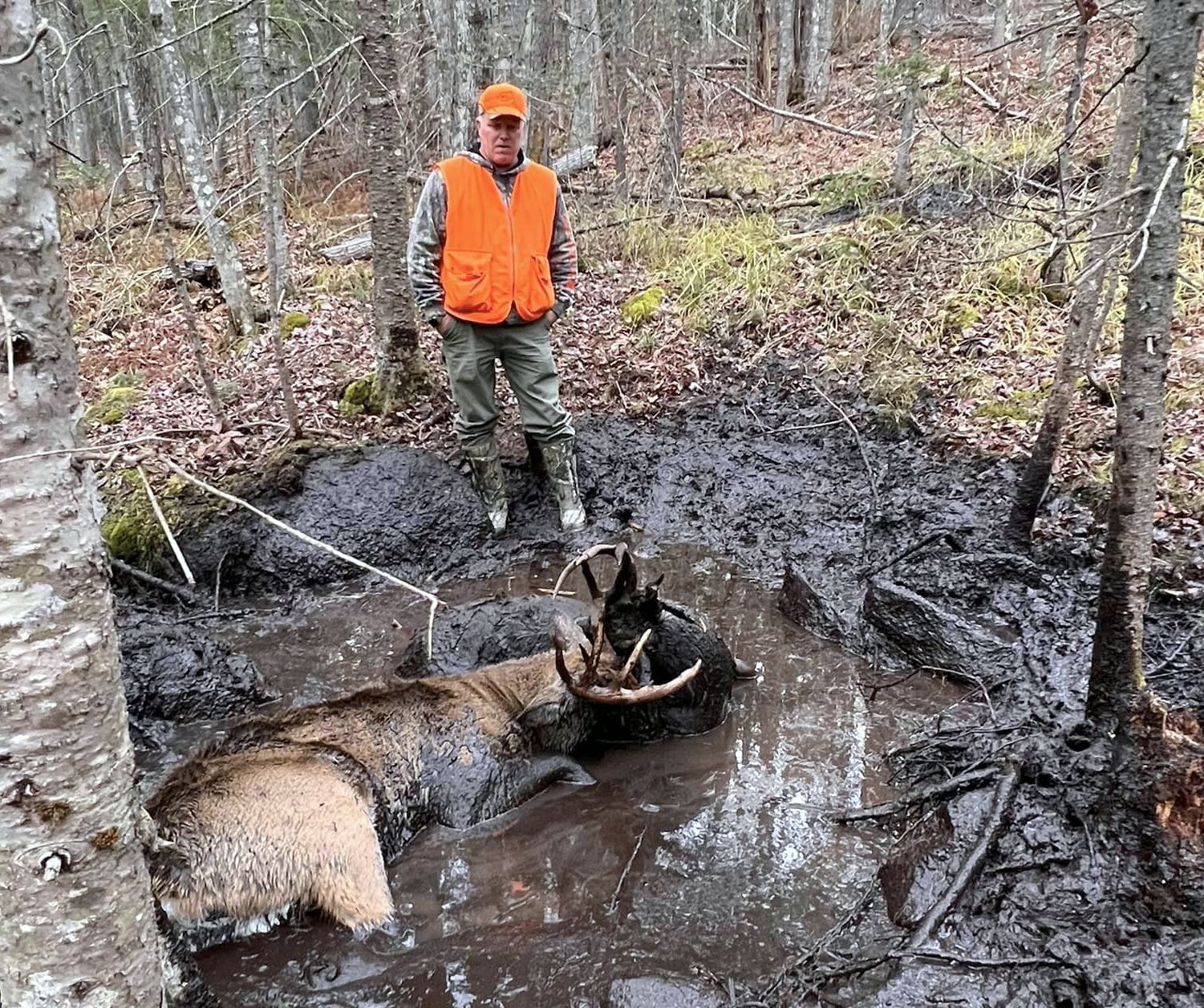 Hunter in Weld bags buck with antlers locked to another - Vimarsana News