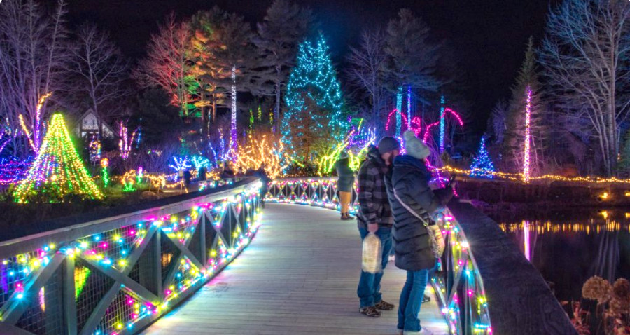 Gardens glow during the holidays