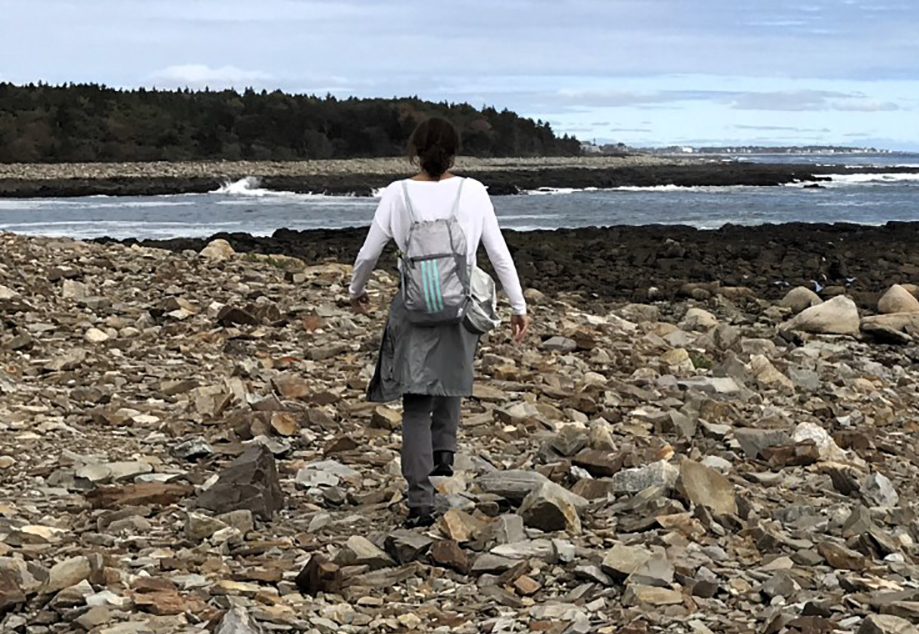 Hiking in Maine: Island hopping from Kittery to Acadia - Vimarsana News