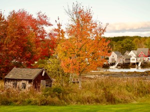 Maine Young Adult Survey - $10 Gift Card for Participating 