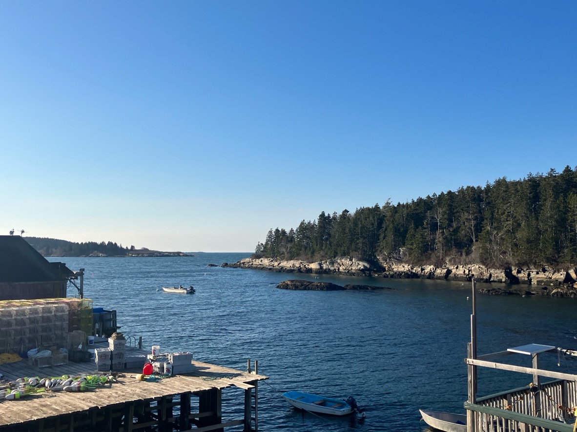 Phippsburg's Basin Oyster Project awarded $190,000 grant - Vimarsana News