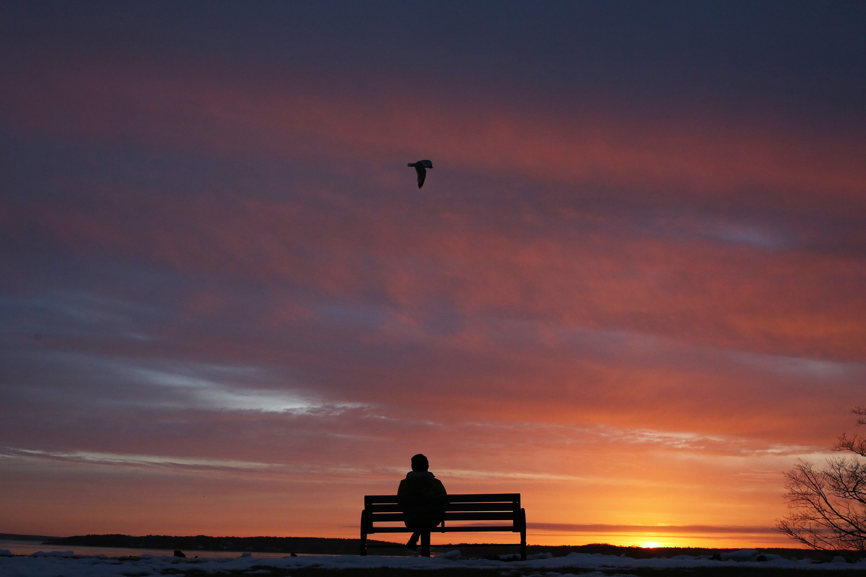 11 ways to brighten up Maine's darkest days - Vimarsana News