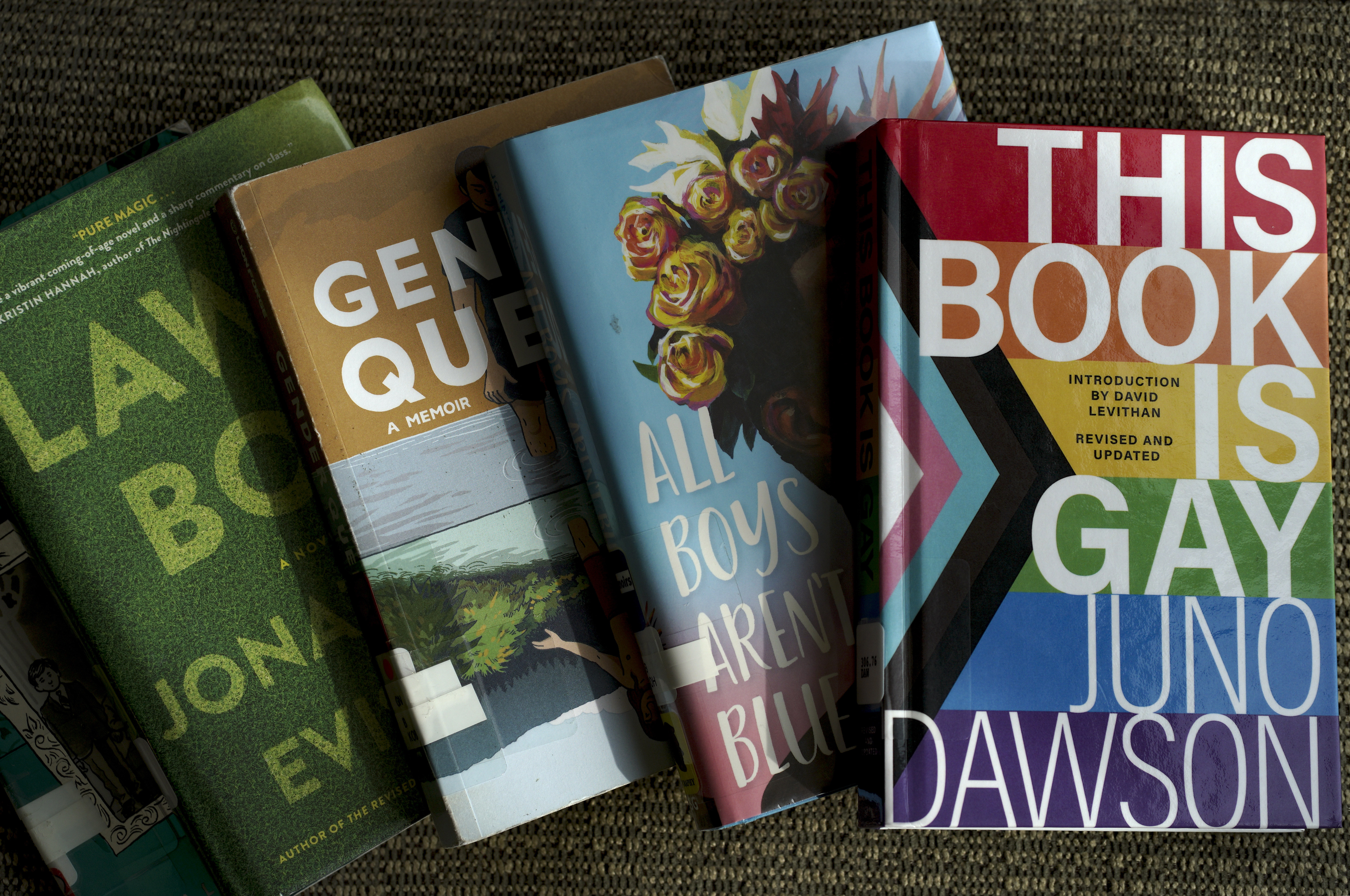 Half of challenged books return to schools. LGBTQ books are banned most. - Vimarsana News