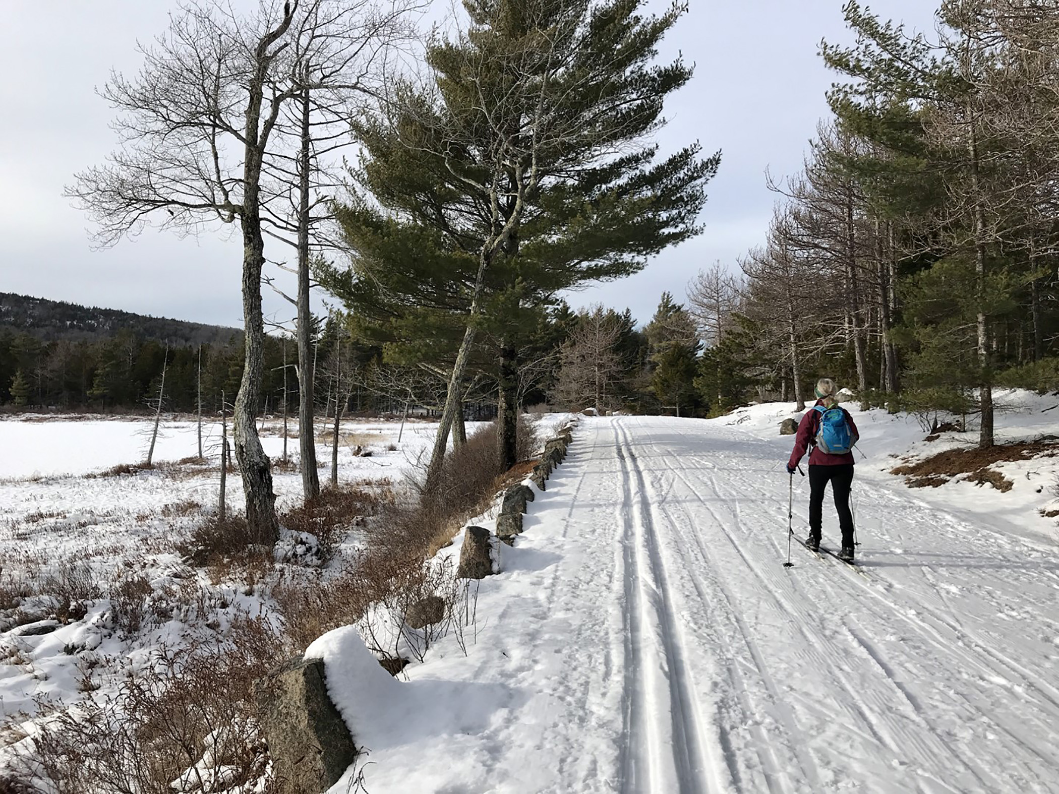 Hiking in Maine: MDI's historic Breakneck Road also offers prime coastal hiking - Vimarsana News