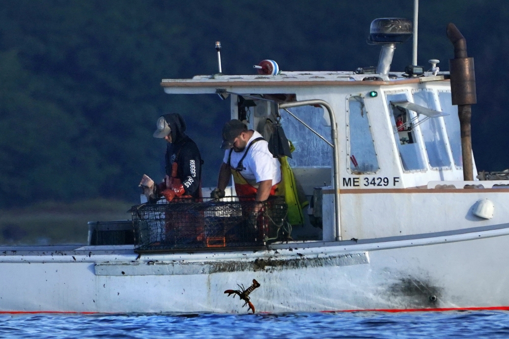Fishing Monitors
