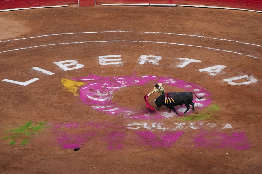 Mexico Bullfighting