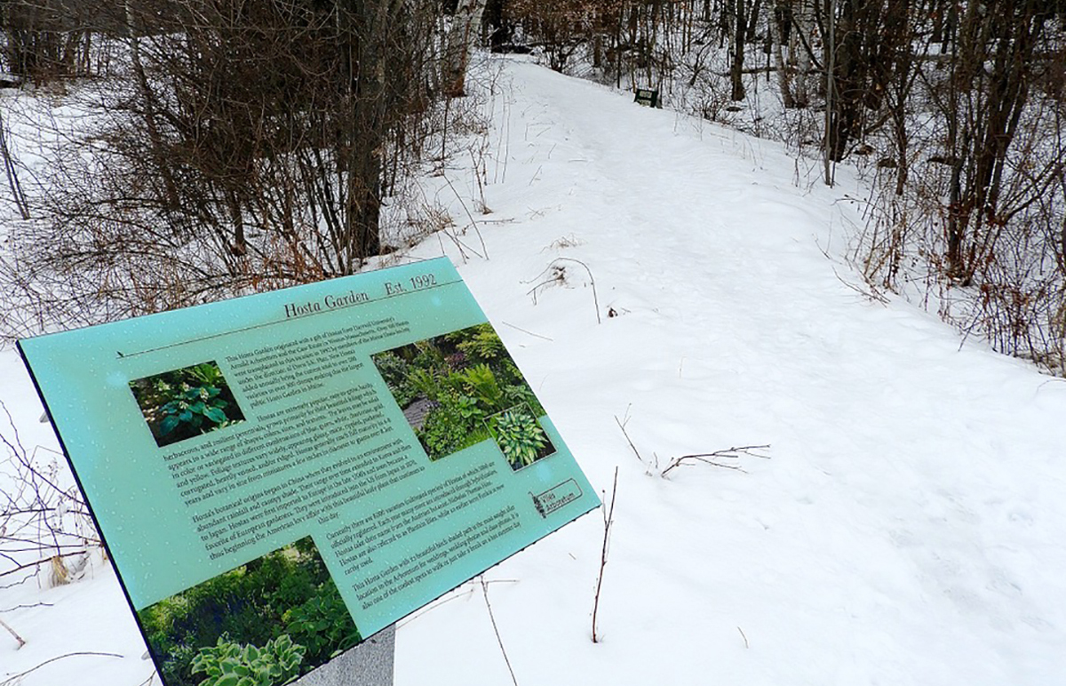 Augusta offers great cross-country skiing at Viles Arboretum - Vimarsana News