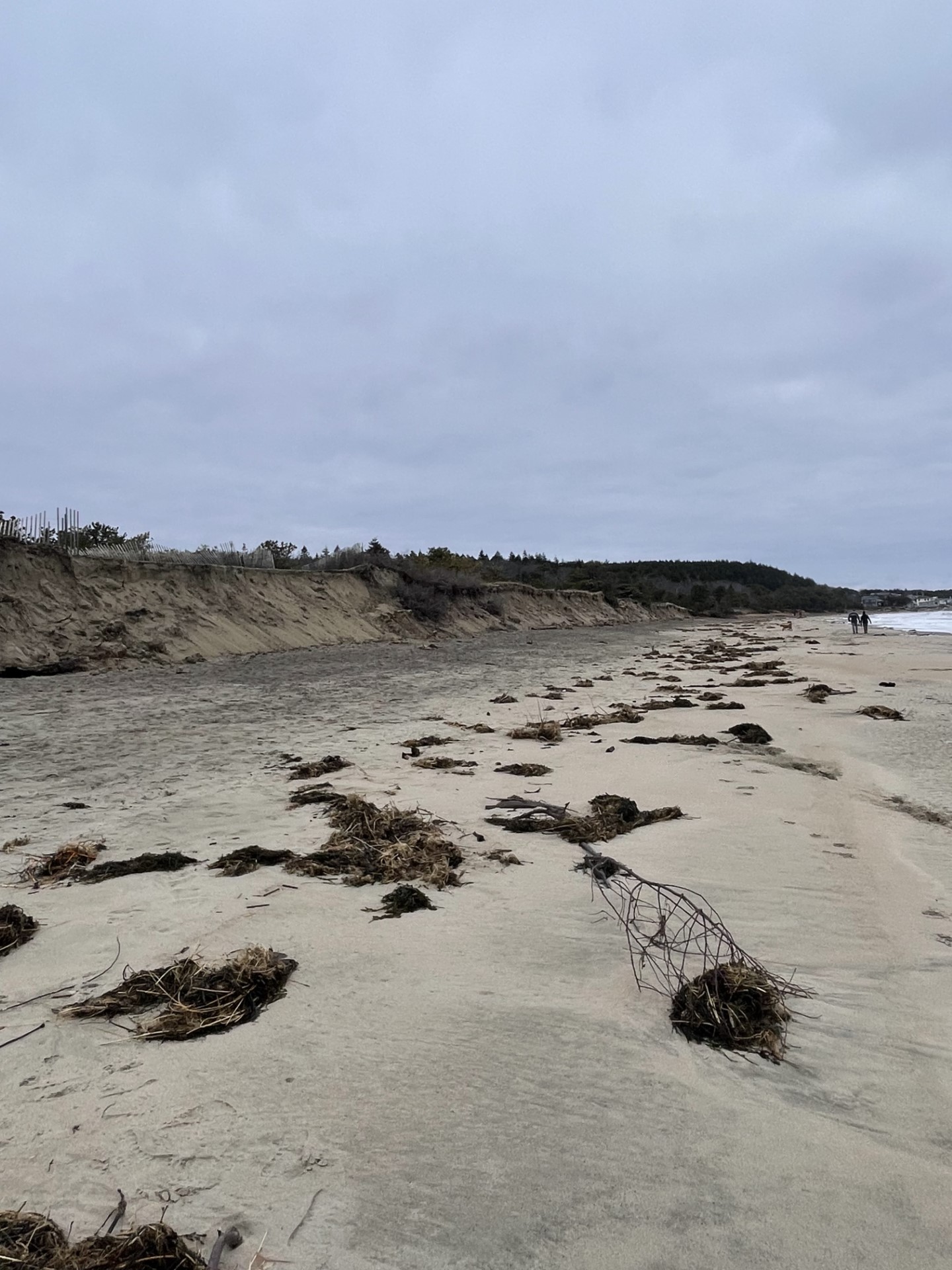 Popham Beach Storm Damage: A Comprehensive Guide for Travelers