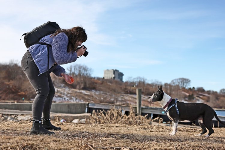 Saying goodbye to a beloved pet is hard. These businesses try to guide  owners through it.