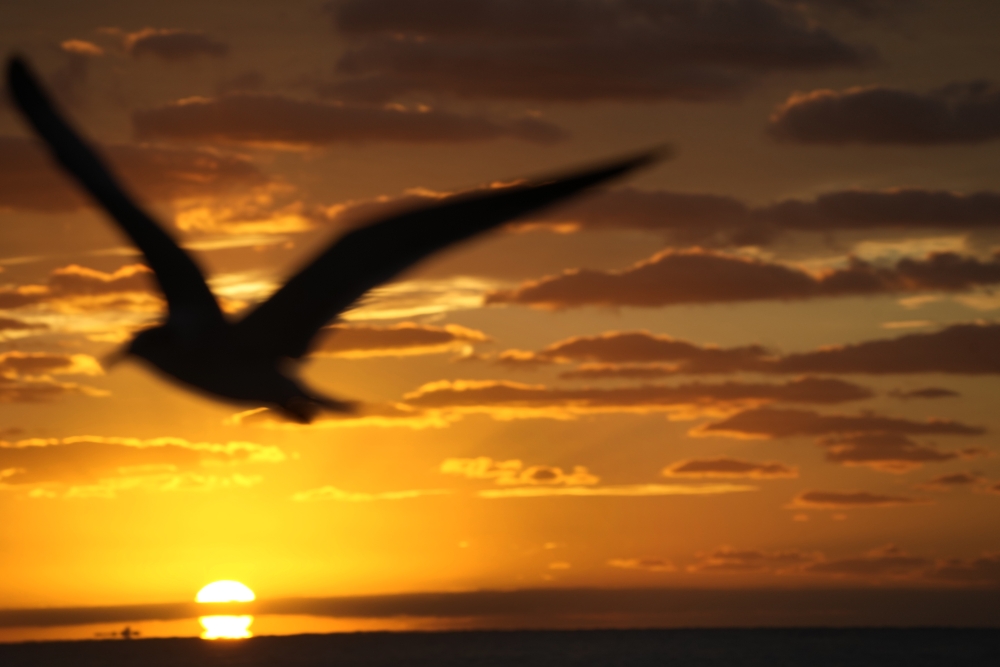 Climate Warming Unexpected Impacts