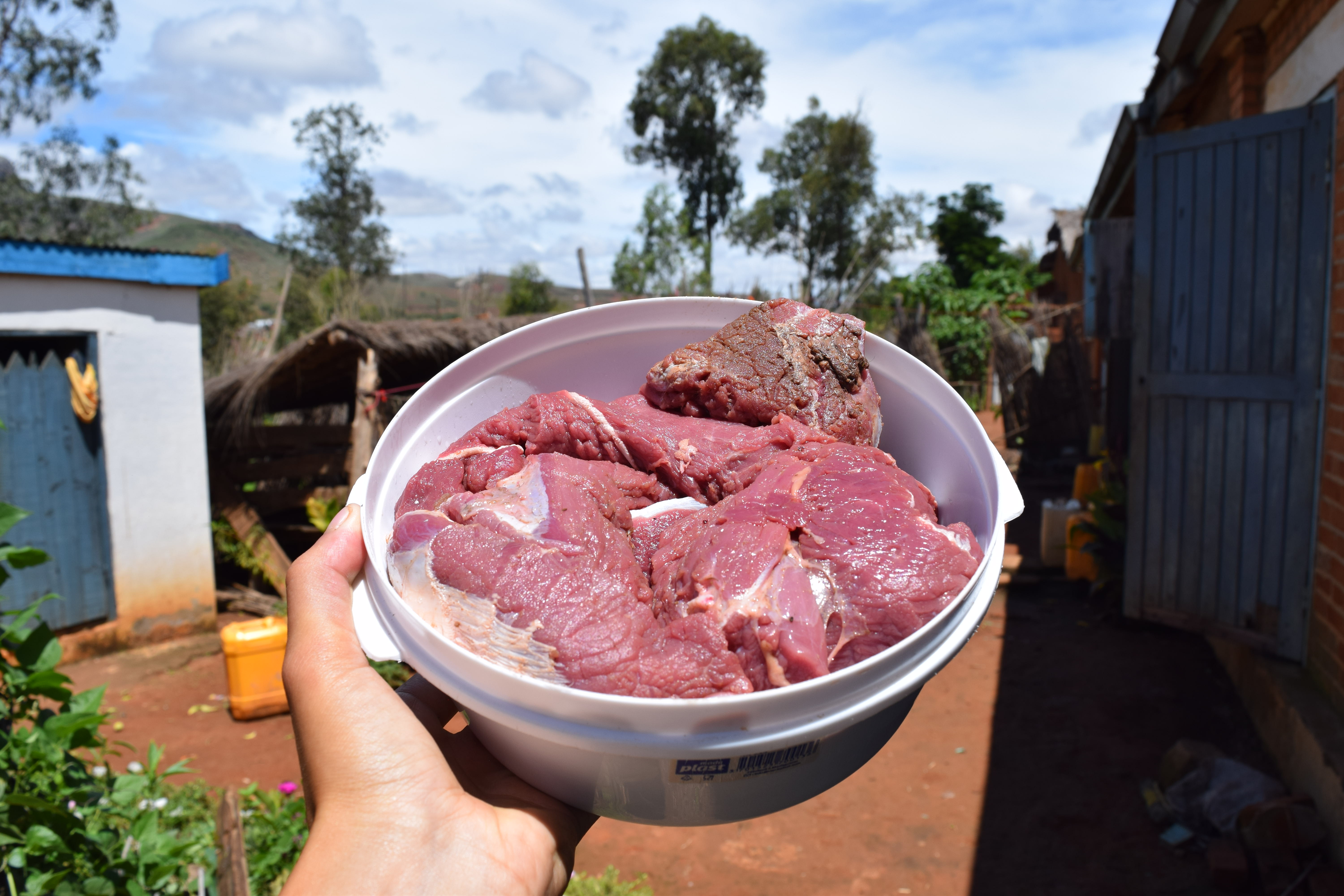 Letters from Madagascar: When lightning strikes, the villagers eat well - Vimarsana News