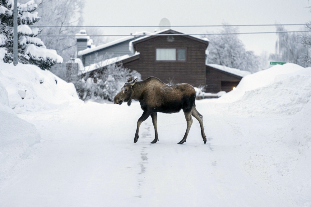 Winter Weather Alaska