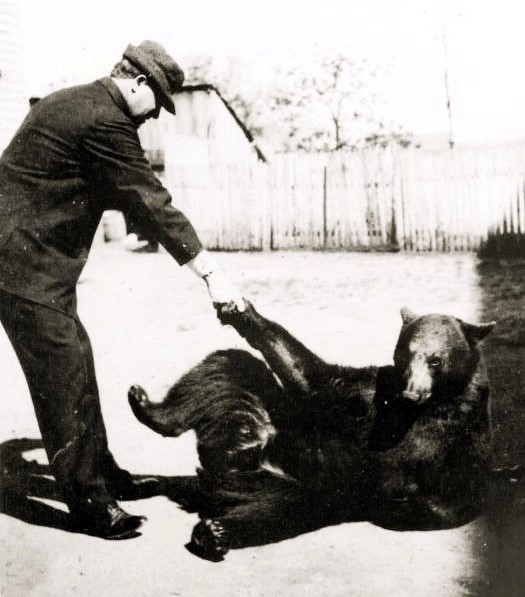 Snap Shots in Time: Fish & Bear 1913 Snap Shots in Time: Fish & Bear 1913