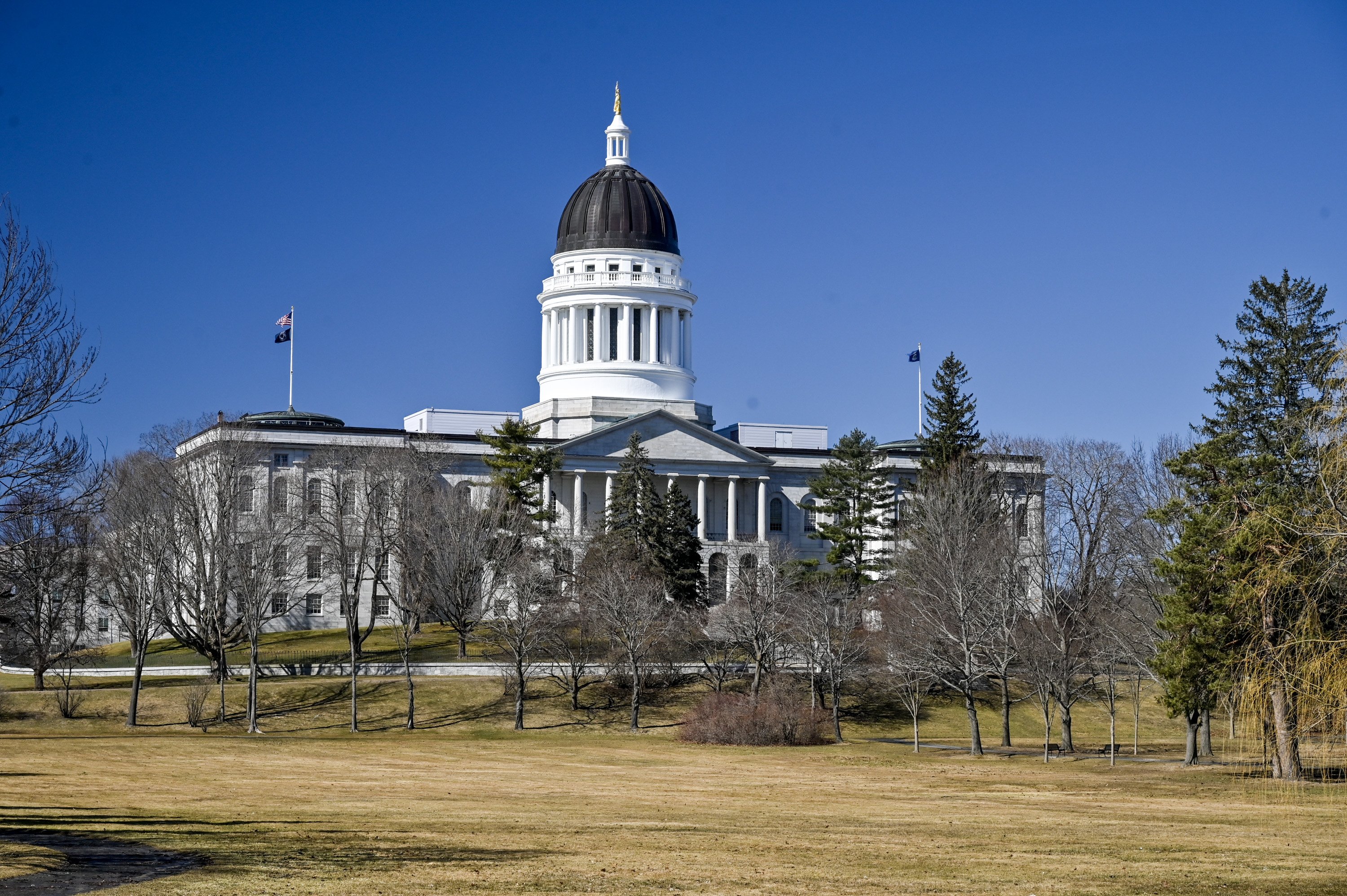 Douglas Rooks: Getting a handle on the explosion of bills at the Legislature - Vimarsana News