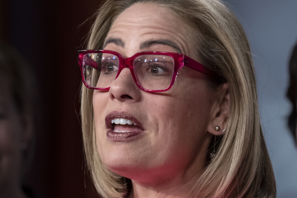 Election 2024 Sinema