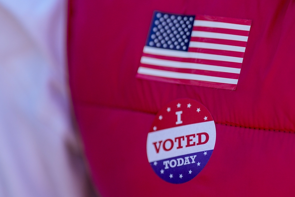Election 2024 Voting