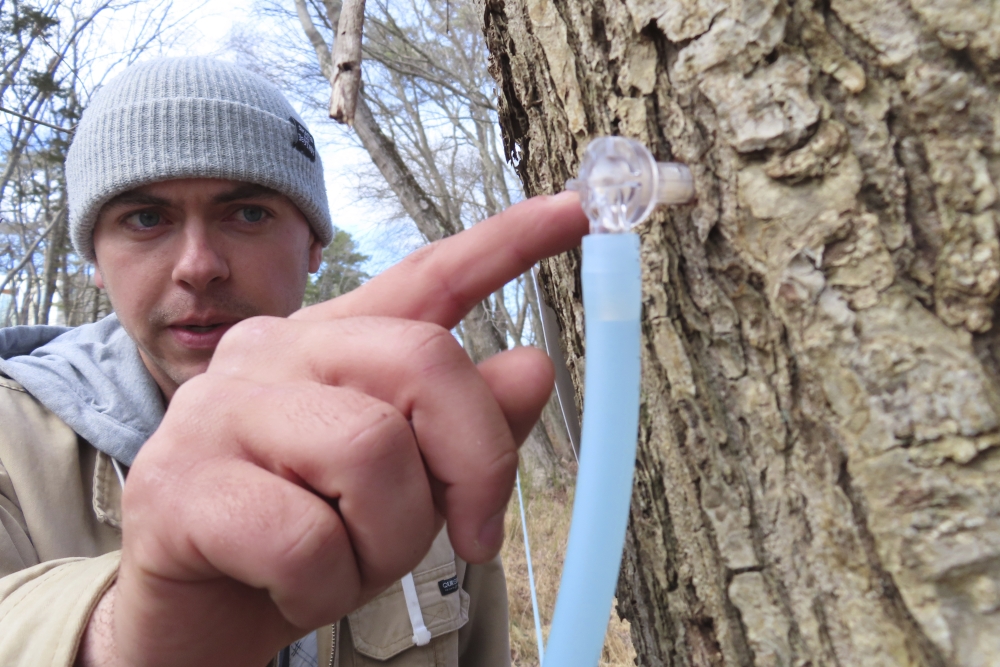New Jersey Maple Syrup