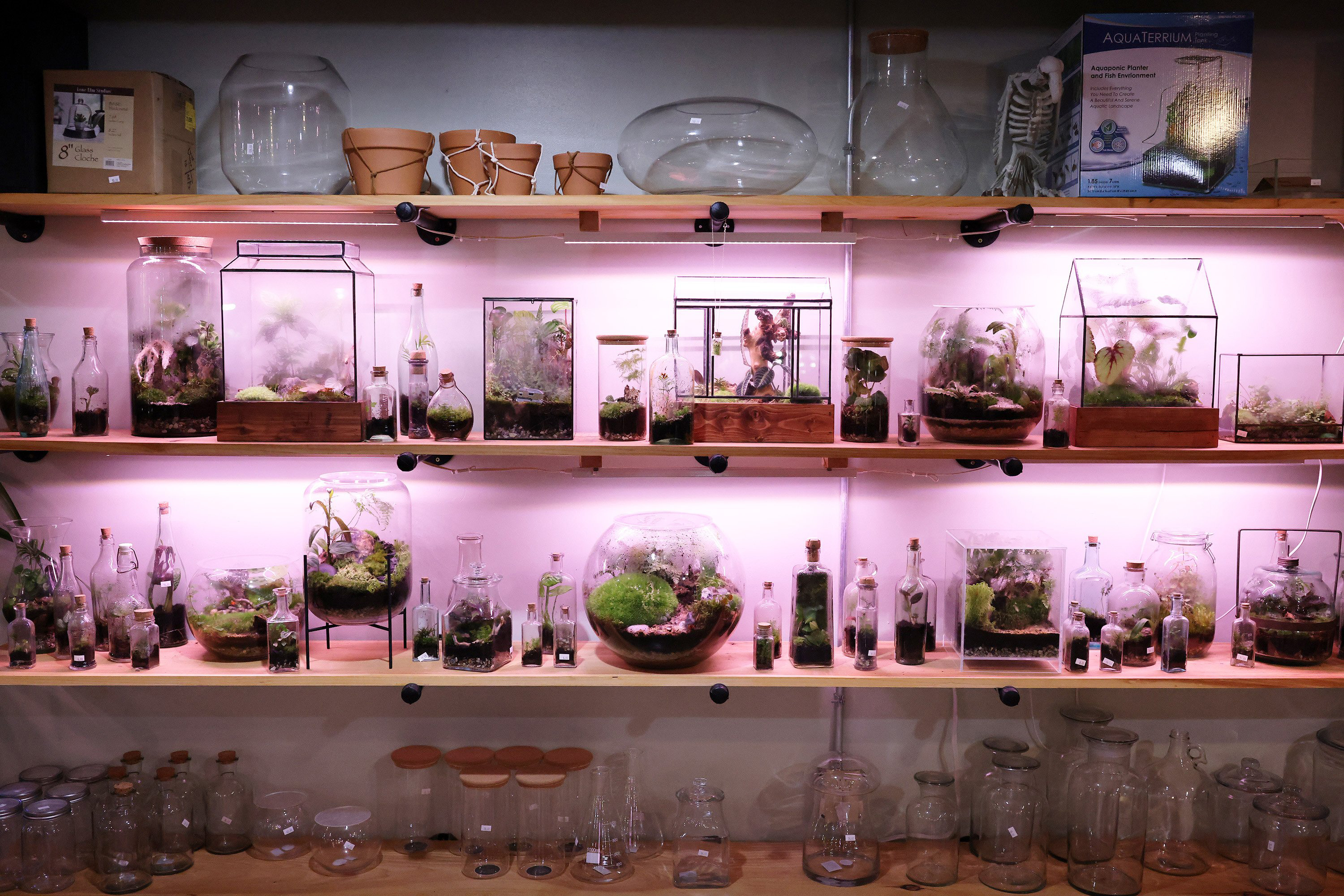 Build a terrarium while you imbibe at this Old Port happy hour