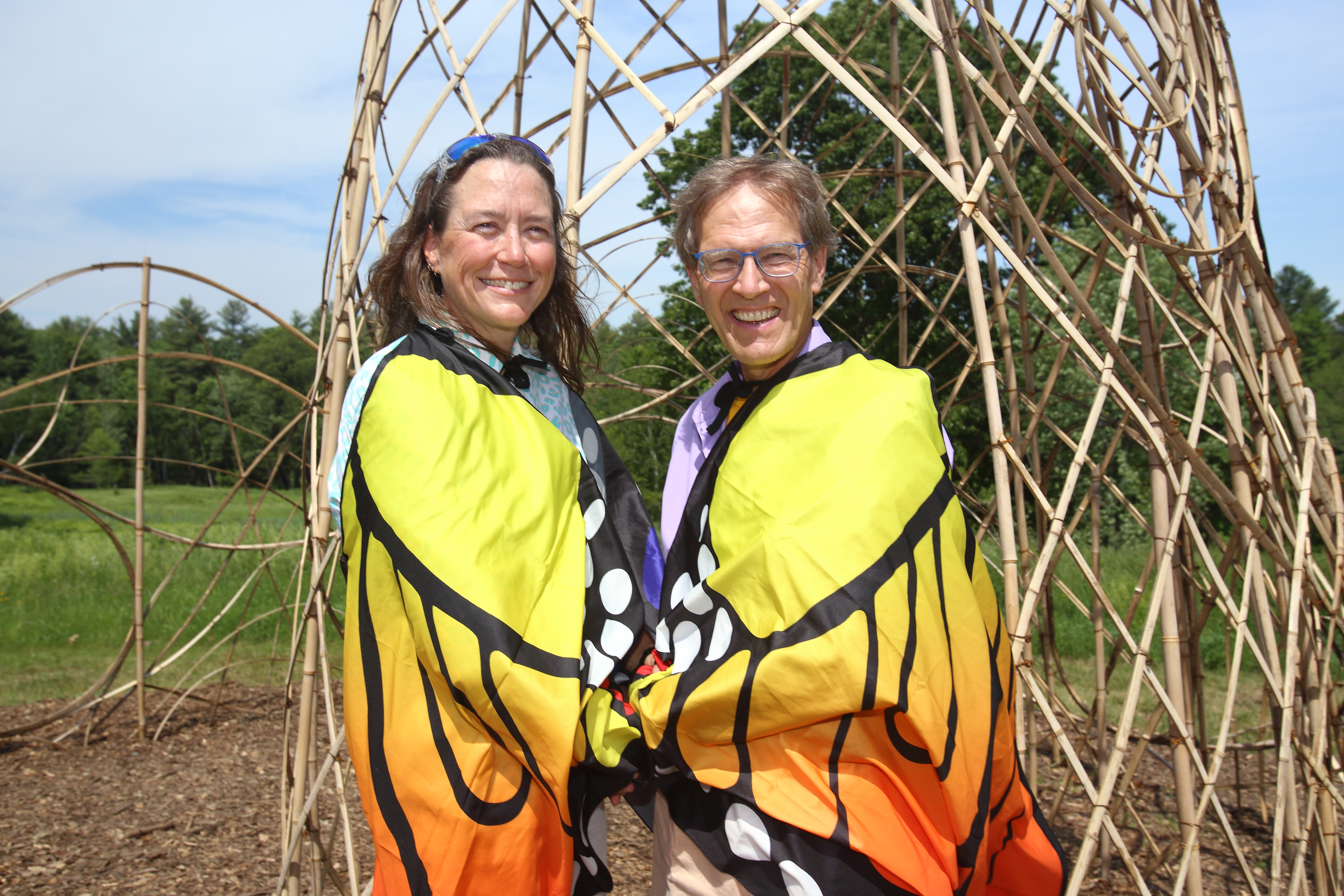 Meet the artists (and the egrets) coming to the Back Cove this summer - Vimarsana News