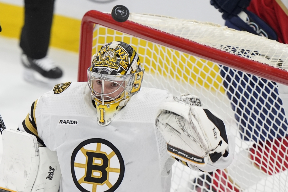 Bruins Panthers Hockey
