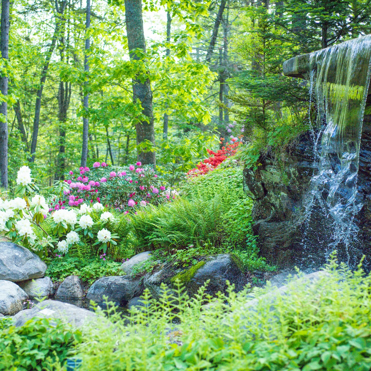 5 summer adventures your public library can help you get for free