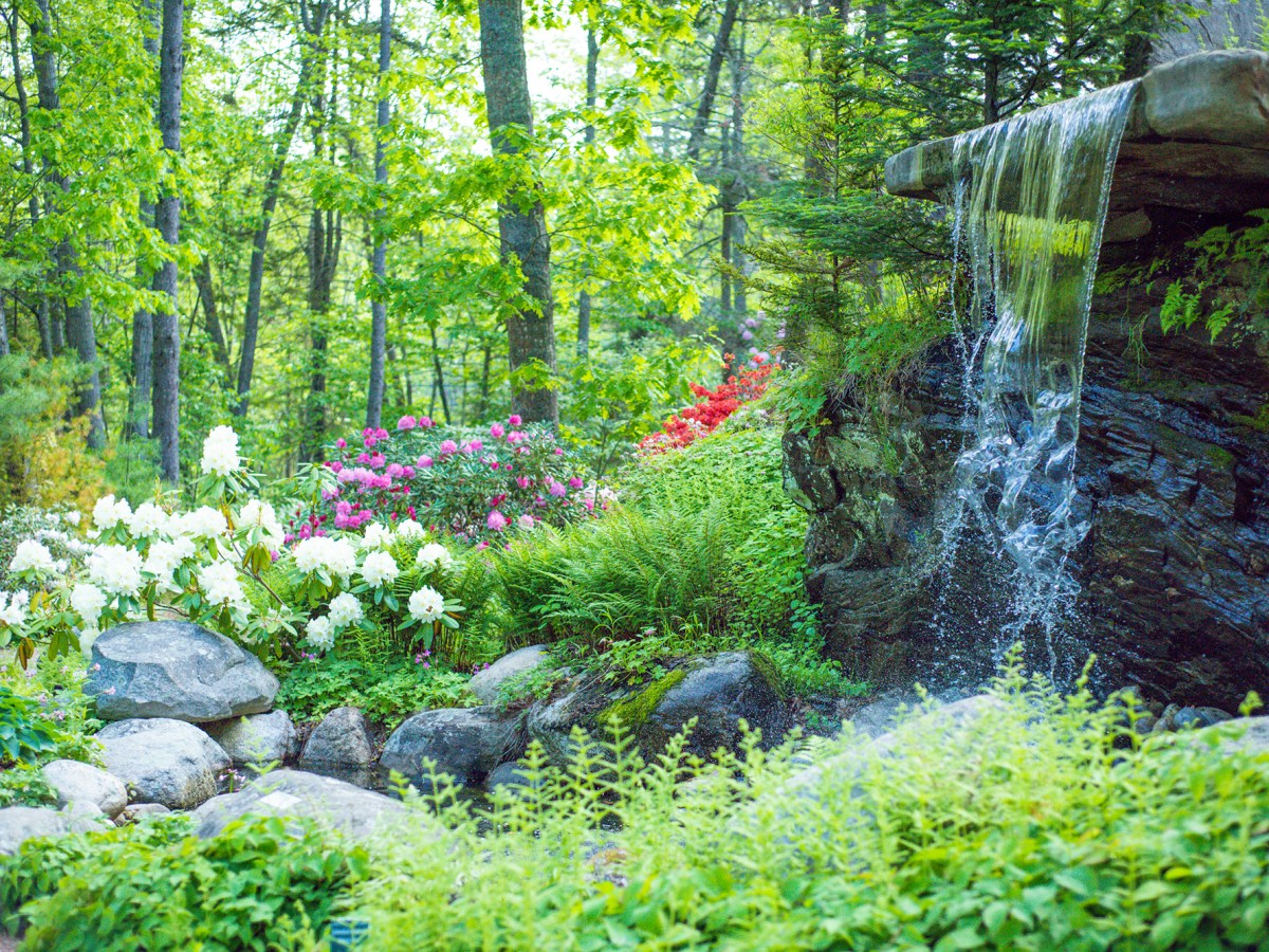 5 summer adventures your public library can help you get for free