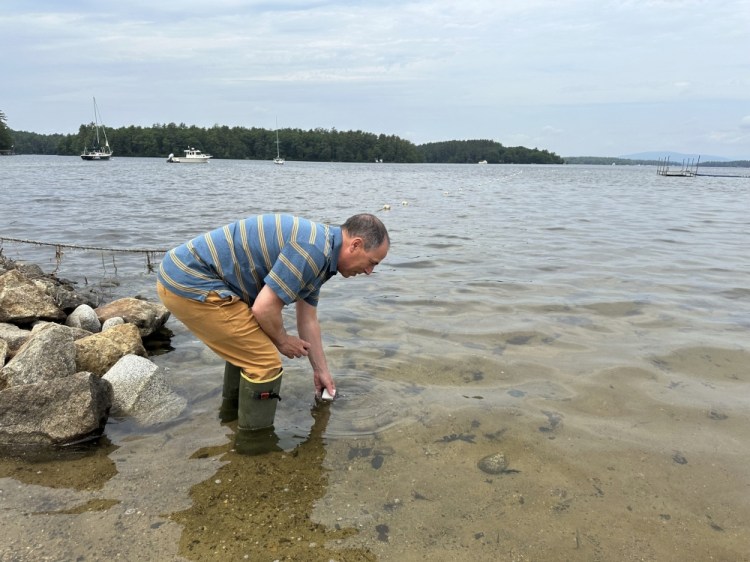 Alga Bloom Lake Winnipesaukee