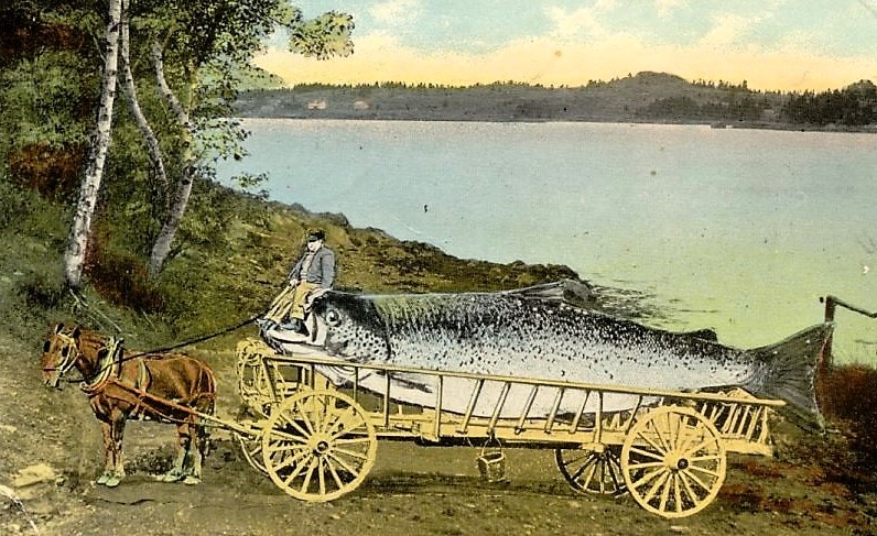 Snapshots in Time: Seen and Heard at the Lakeshore